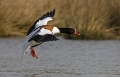 Bergeend landing